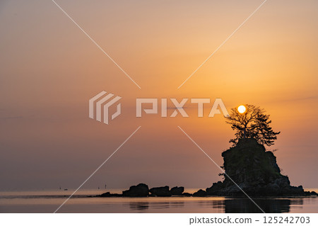 (Toyama Prefecture) Amaharashi Coast, Onnaiwa, Taiyo 125242703