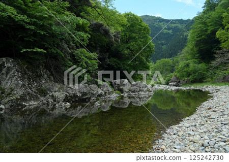 The mountain stream of Hikimi River flowing through the deep green valley of the Chugoku Mountains with the blue sky as a backdrop 125242730