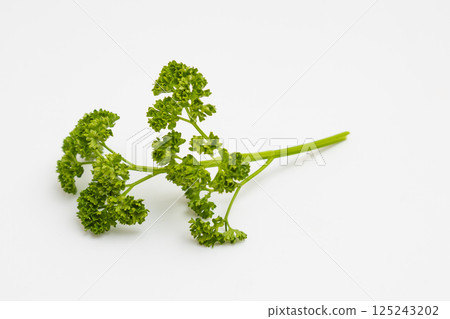Parsley stock photo: Parsley on a white background 125243202