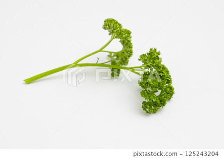 歐芹圖片:白色背景上的歐芹 歐芹圖片:白色背景上的歐芹 125243204