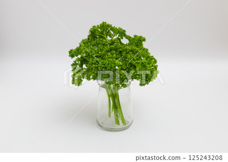 Parsley stock photo: Parsley on a white background 125243208