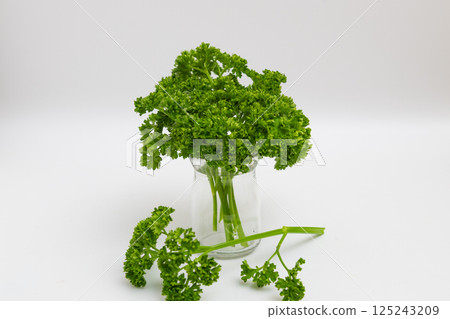 Parsley stock photo: Parsley on a white background Parsley stock photo: Parsley on a white background 125243209