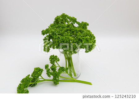 歐芹圖片：白色背景上的歐芹 125243210