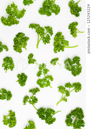 Parsley stock photo: Parsley on a white background Parsley stock photo: Parsley on a white background 125243224