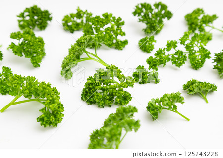 Parsley stock photo: Parsley on a white background 125243228