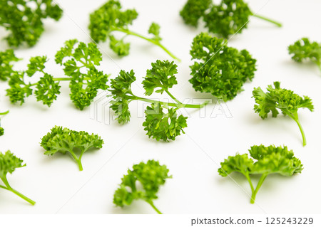 歐芹圖片：白色背景上的歐芹 125243229