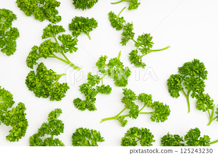 Parsley stock photo: Parsley on a white background Parsley stock photo: Parsley on a white background 125243230