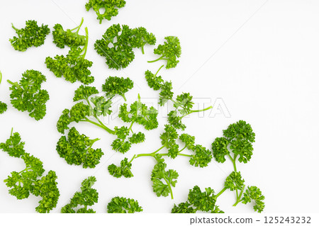 歐芹圖片:白色背景上的歐芹 歐芹圖片:白色背景上的歐芹 125243232