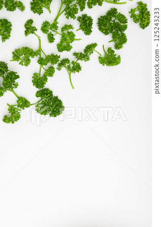 歐芹圖片：白色背景上的歐芹 125243233