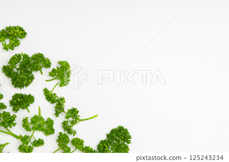 Parsley stock photo: Parsley on a white background 125243234