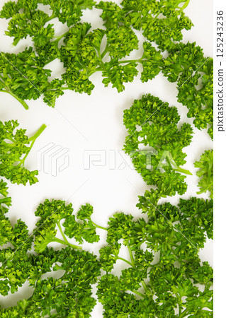 歐芹圖片：白色背景上的歐芹 125243236