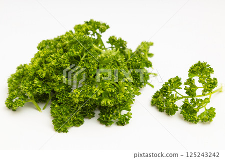 Parsley stock photo: Parsley on a white background 125243242
