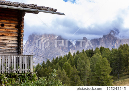 Dolomites Alpe di Siusi, Italy landscape, autumn 125243245