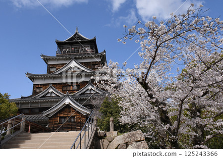 廣島城堡和櫻花 廣島城堡和櫻花 125243366