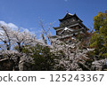 廣島城堡和櫻花 125243367