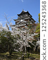 廣島城堡和櫻花 125243368