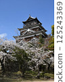 廣島城堡和櫻花 125243369