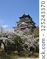 廣島城堡和櫻花 125243370