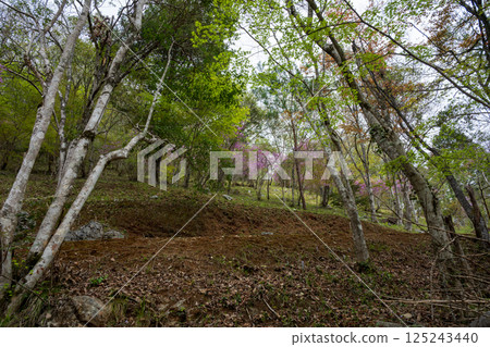 日本岡山縣春天山村的美麗風景 日本岡山縣春天山村的美麗風景 125243440