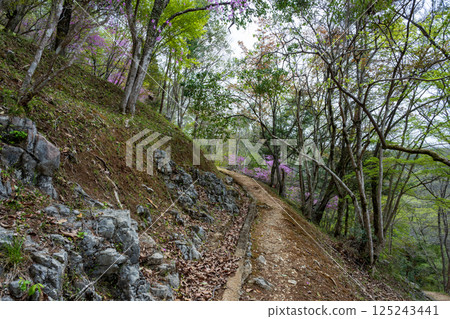日本岡山縣春天山村的美麗風景 日本岡山縣春天山村的美麗風景 125243441