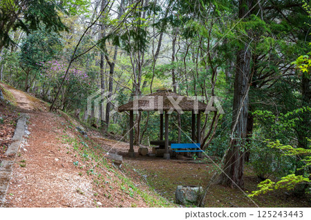 日本岡山縣春天山村的美麗風景 日本岡山縣春天山村的美麗風景 125243443