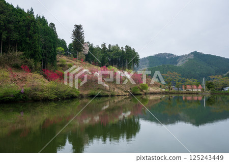 日本岡山縣春天山村的美麗風景 125243449