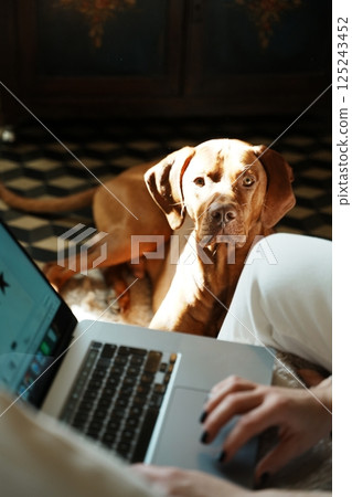 Young woman with her dog working remotely Young woman with her dog working remotely 125243452
