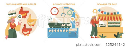Egg Farm process illustrated through selecting breeds, automating operations, and preparing eggs for sale. Visual representation of modern farming practices and sustainability in egg production 125244142