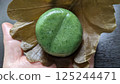 Kashiwamochi - the "green" jewel - looks delicious! 125244471