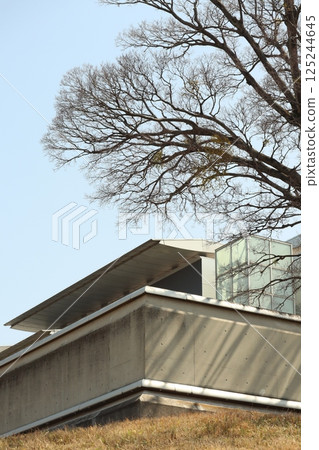 (Wakayama Prefectural Museum of Modern Art) 009 (Wakayama Prefectural Museum of Modern Art) 009 125244645