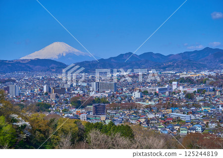 神奈川縣秦野市入船町、末廣町、榮町、本町、富士山的景色 125244819