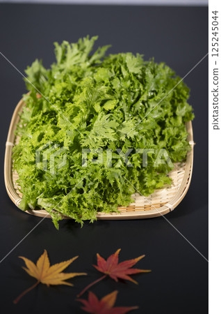 芥末綠色 芥末綠色 125245044