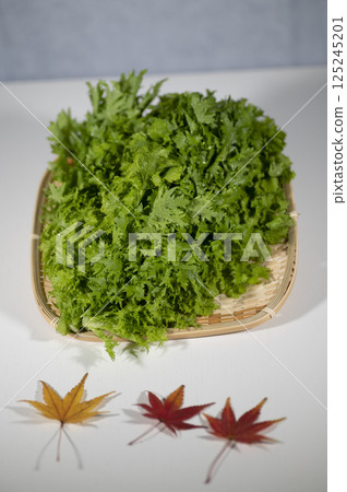 Wasabi Wasabi 125245201