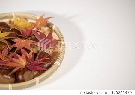 秋天的味道生栗子 秋天的味道生栗子 125245470