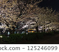 夜晚的河邊櫻花 125246099