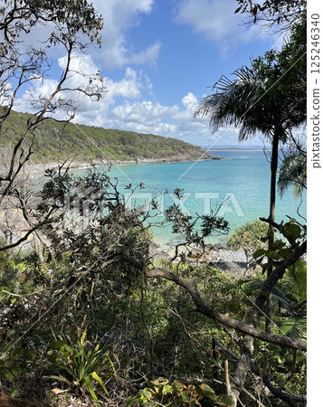 Noosa, Sunshine Coast, Queensland, Australia 125246340