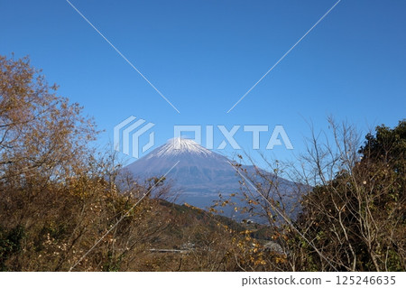 Autumn: Harmony between trees and the magnificent view of Mt. Fuji 125246635