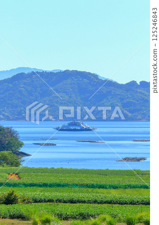 海洋(牡蠣)和土地(馬鈴薯)的饋贈 海洋(牡蠣)和土地(馬鈴薯)的饋贈 125246843