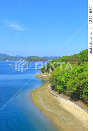 從大芝橋望去的瀨戶內春景 125246864