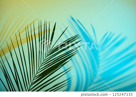 Tropical leaves in neon light with duotone shadows 125247135
