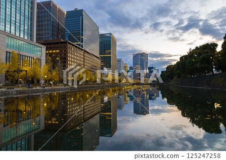 Tokyo Station: Ginkgo trees lit up by streetlights on the sidewalk and the Marunouchi streetscape reflected on the water (Chiyoda Ward, Tokyo) Tokyo Station: Ginkgo trees lit up by streetlights on the sidewalk and the Marunouchi streetscape reflected on the water (Chiyoda Ward, Tokyo) 125247258