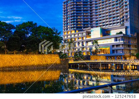 Wadakura Bridge, the ginkgo trees lit up by streetlights on the sidewalk, and the hotel and Imperial Palace reflected on the water (Chiyoda Ward, Tokyo) 125247658