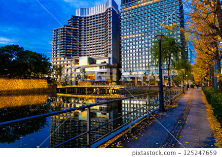 和田倉橋、人行道上被路燈照亮的銀杏樹以及倒映在水面上的酒店和皇居（東京都千代田區） 125247659