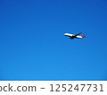 Delta Airlines plane blue sky 125247731