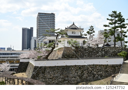 Mirror turret and Somei-Yoshino cherry trees inside the castle (Fukuyama Castle) Mirror turret and Somei-Yoshino cherry trees inside the castle (Fukuyama Castle) 125247732