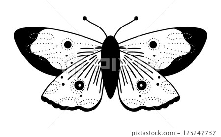 mystical butterfly in boho style. vector doodle illustration.	 125247737