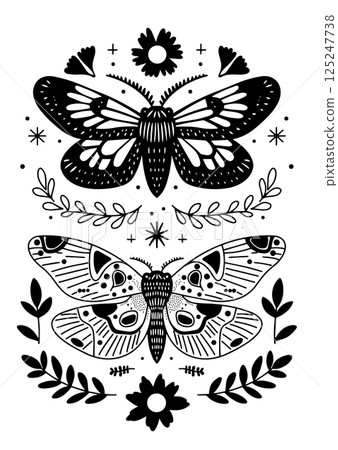 butterfly, vector, insect 125247738