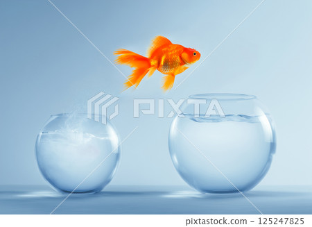 跳躍的金魚,新的開始和希望的主題 跳躍的金魚,新的開始和希望的主題 125247825