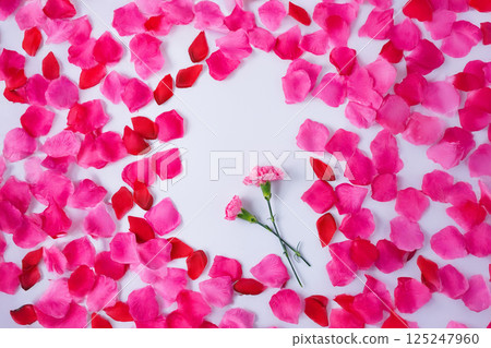 Pink carnation surrounded by petals Pink carnation surrounded by petals 125247960