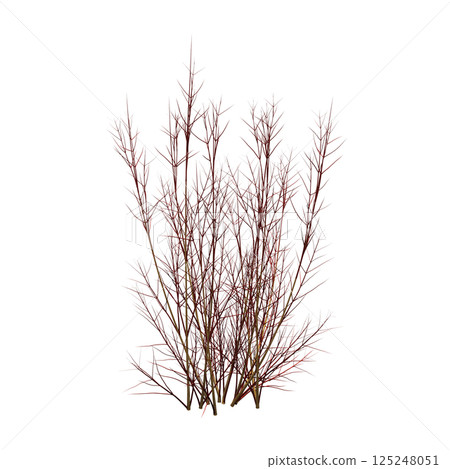 bush isolate on a transparent background, 3D illustration, cg render bush isolate on a transparent background, 3D illustration, cg render 125248051